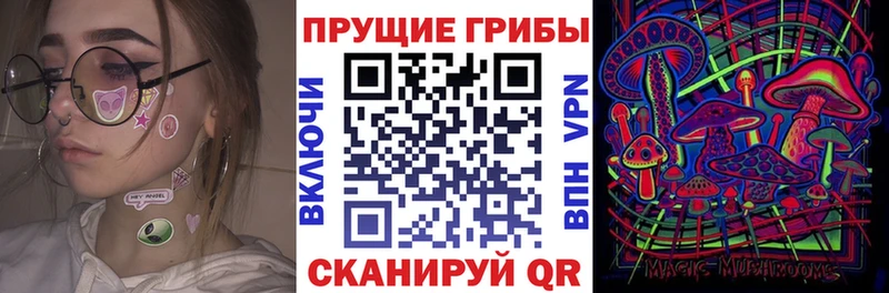 площадка клад  Нарткала  Галлюциногенные грибы Psilocybine cubensis 