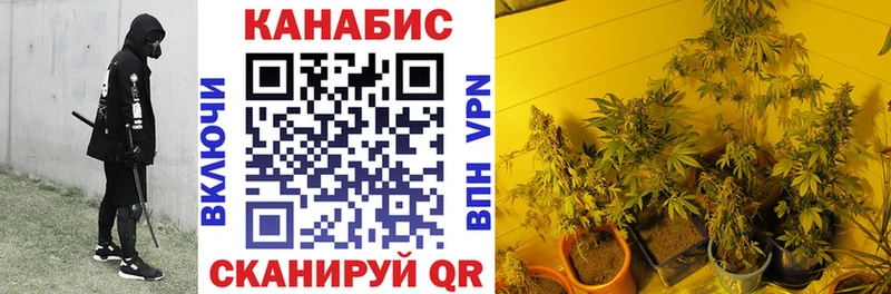 Бошки Шишки VHQ  Нарткала 